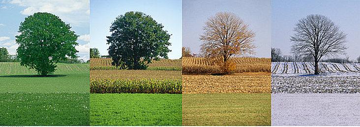 外界猜测《上古卷轴6》可能还是会登陆PS5