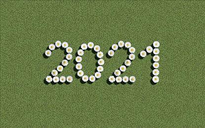 双人合作新作《星际迷航神童：超新星》10月发售